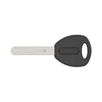 ABUS Goose Lock 4204K