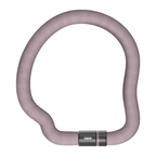 ABUS Goose Lock 6206K